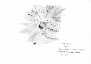 Mondkrater Kepler  02.05.2012